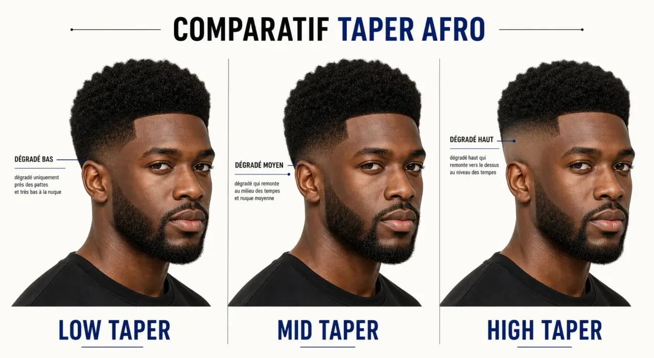Exemple visuel de taper afro avec variantes low, mid et high taper
